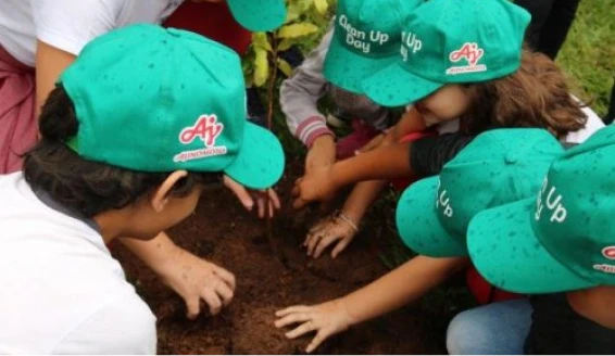 Voluntários com bonés verdes plantando na terra